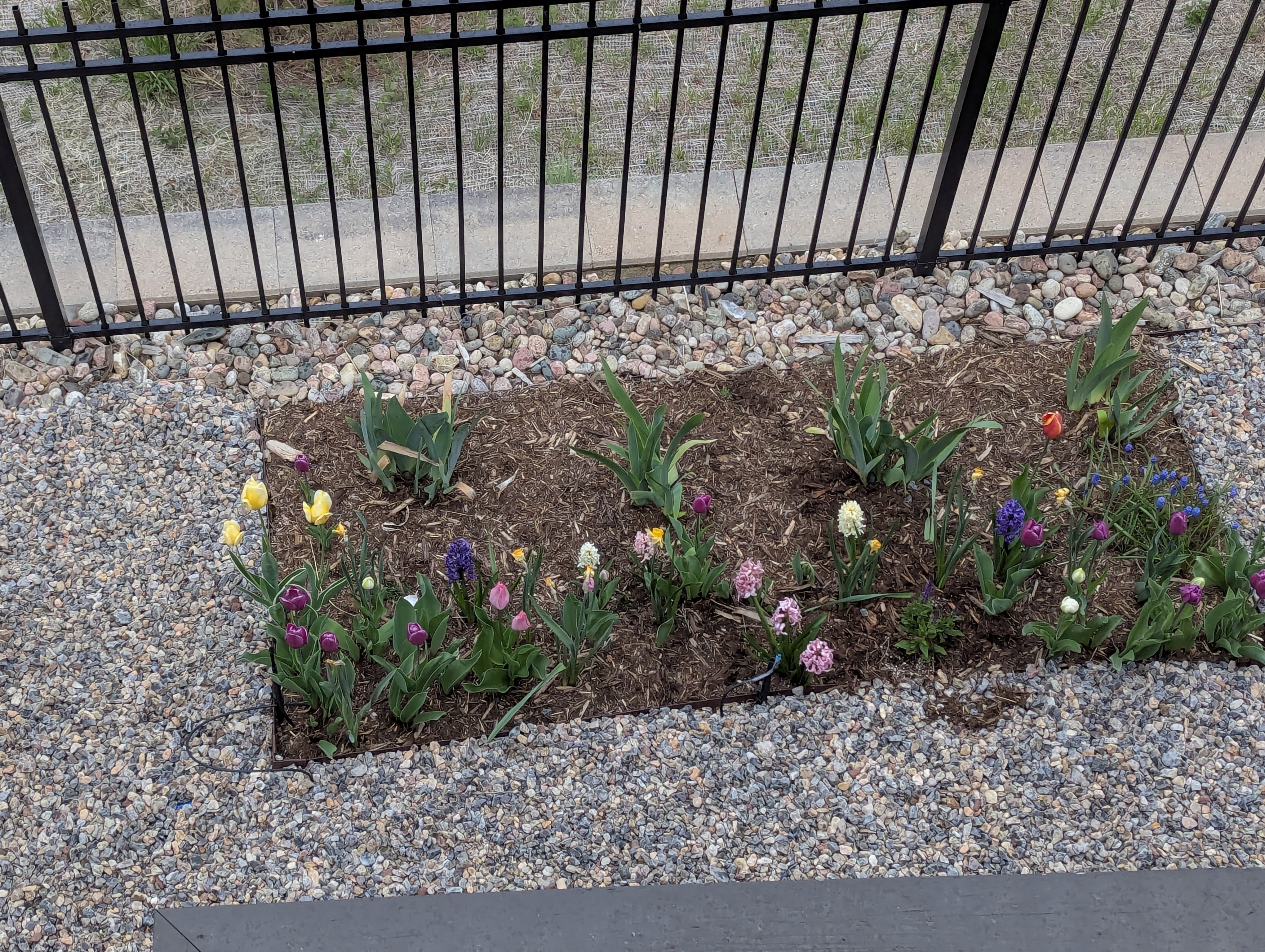 rain, Morrison, Colorado
